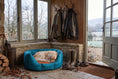 Load image into Gallery viewer, (Easy Access Teal with Burnt Orange)
