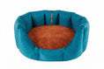 Load image into Gallery viewer, (Easy Access Teal with Burnt Orange)
