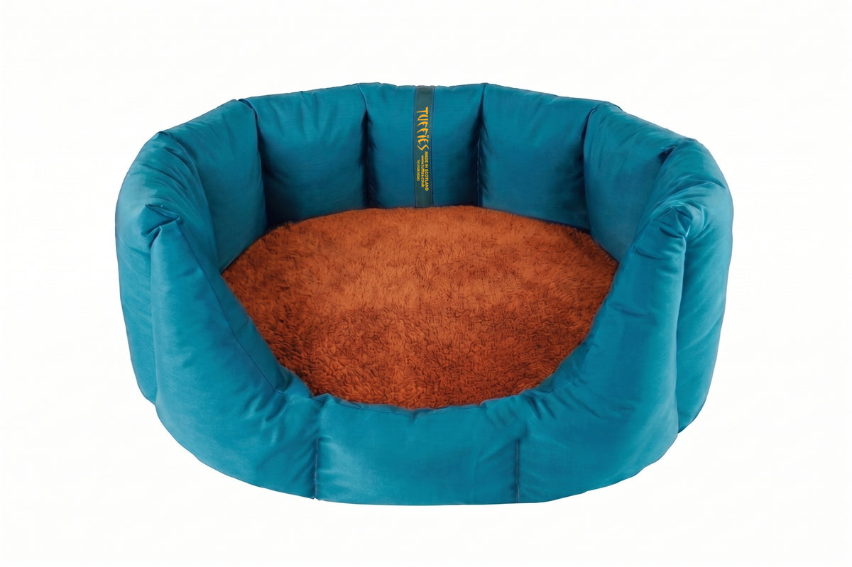 (Easy Access Teal with Burnt Orange)
