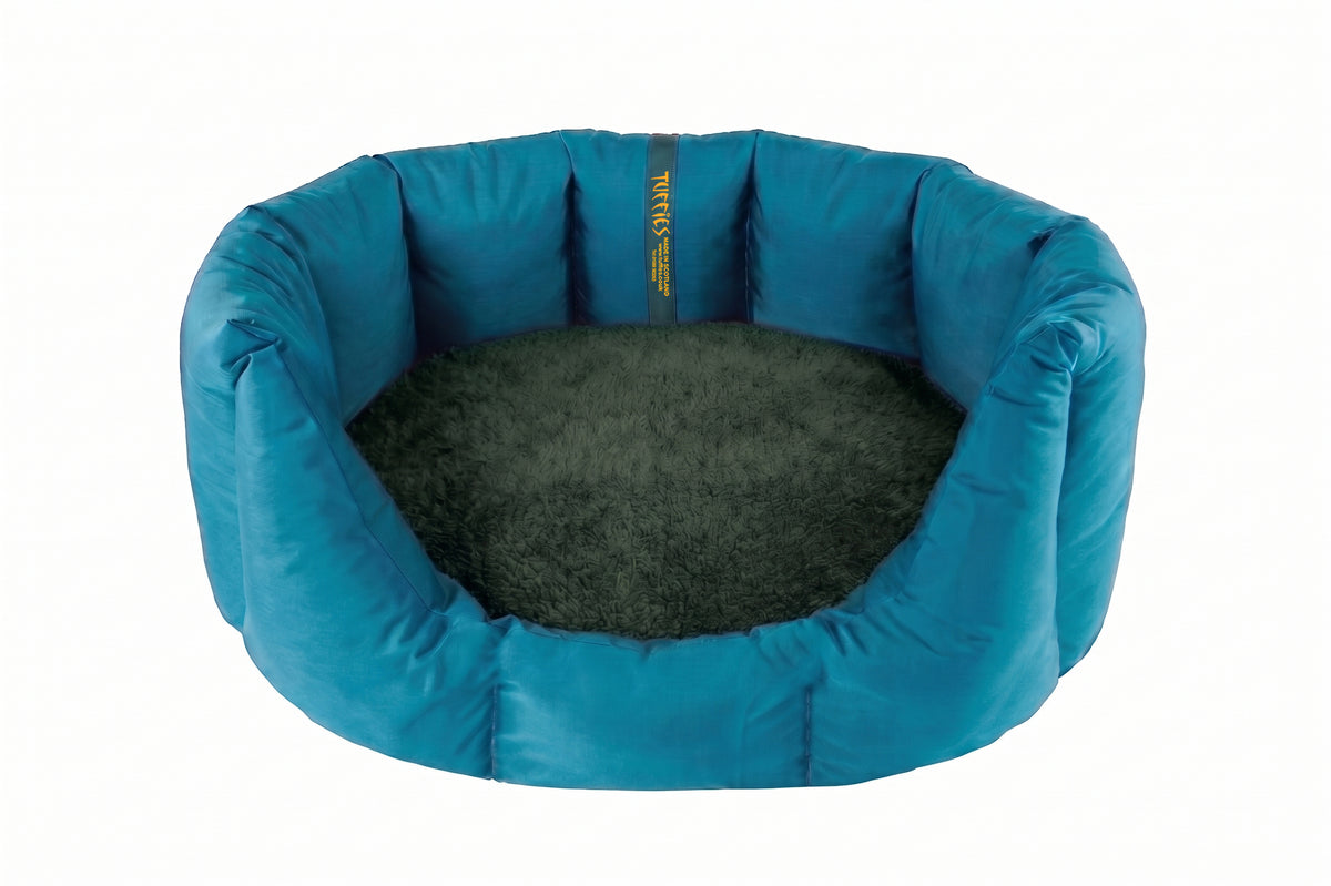 (Easy Access Teal with British Racing Green)