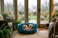 Load image into Gallery viewer, (Easy Access Teal with Burgundy)
