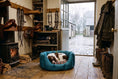 Load image into Gallery viewer, (Easy Access Teal with Tweed)
