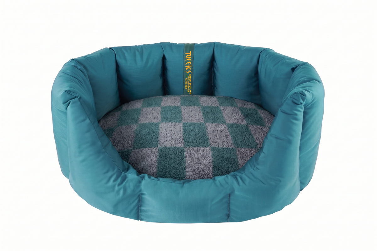 (Easy Access Teal with Wild Storm)