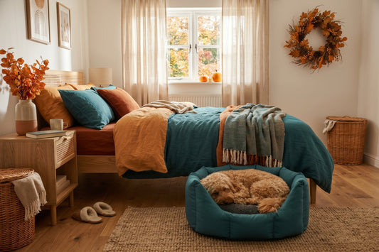 CLEARANCE : Medium, Easy Access Durasoft Teal Nest with Grey