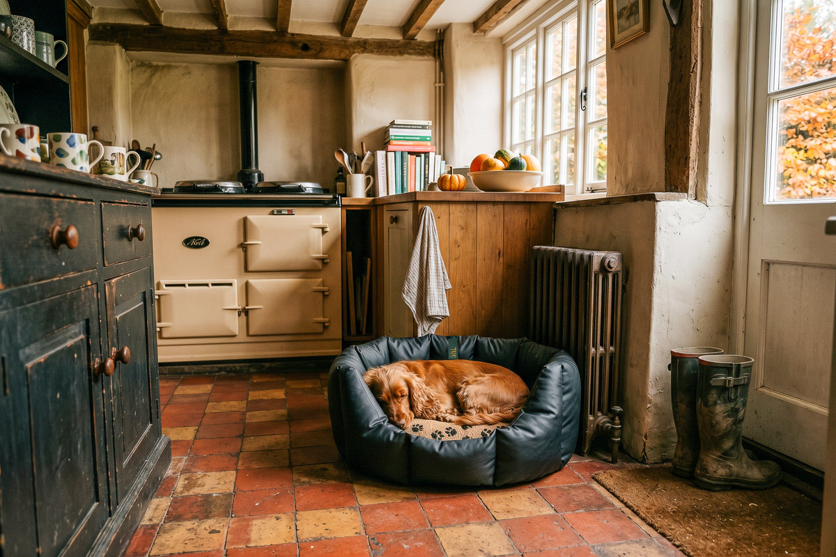 CLEARANCE : Medium, Easy Access Wipe Clean Black Nest with Caramel Paws