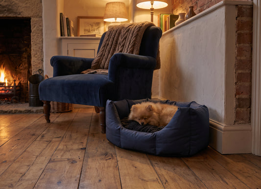 CLEARANCE : Small, Easy Access Wipe Clean Navy Nest with Brown Dog Dryer