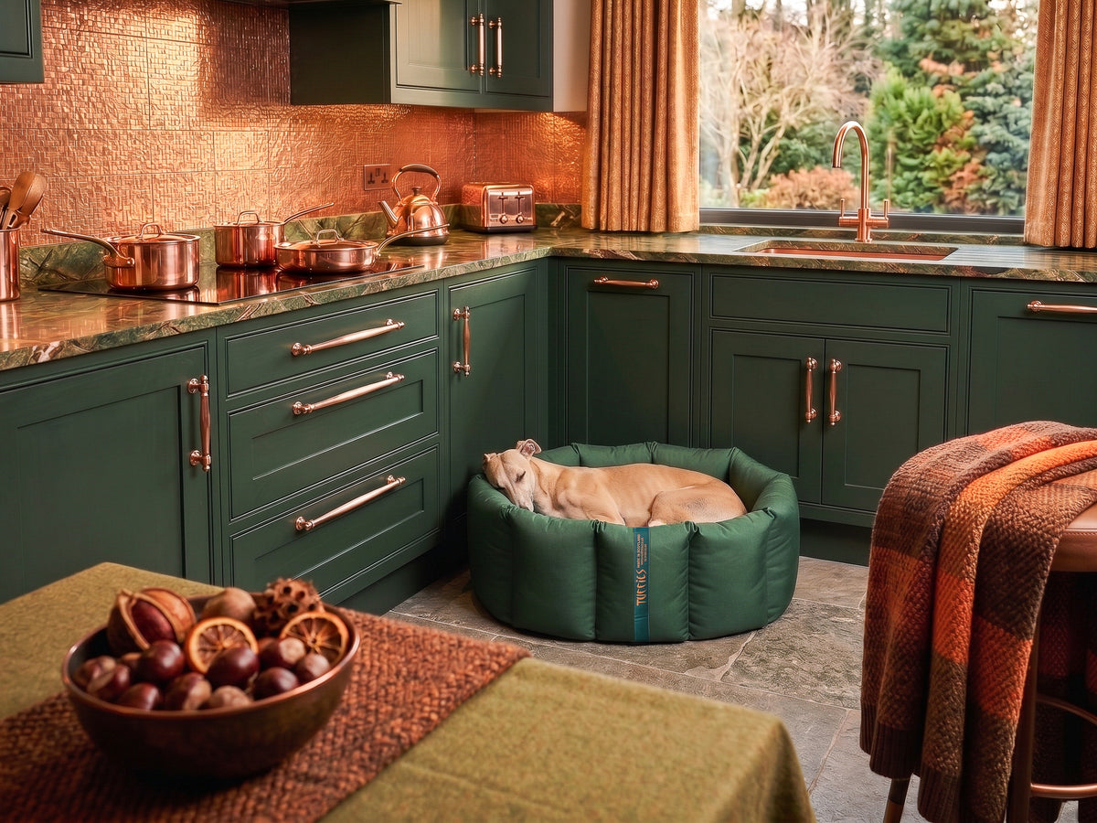 (Full Nest Emerald Green with Brown Dog Dryer)