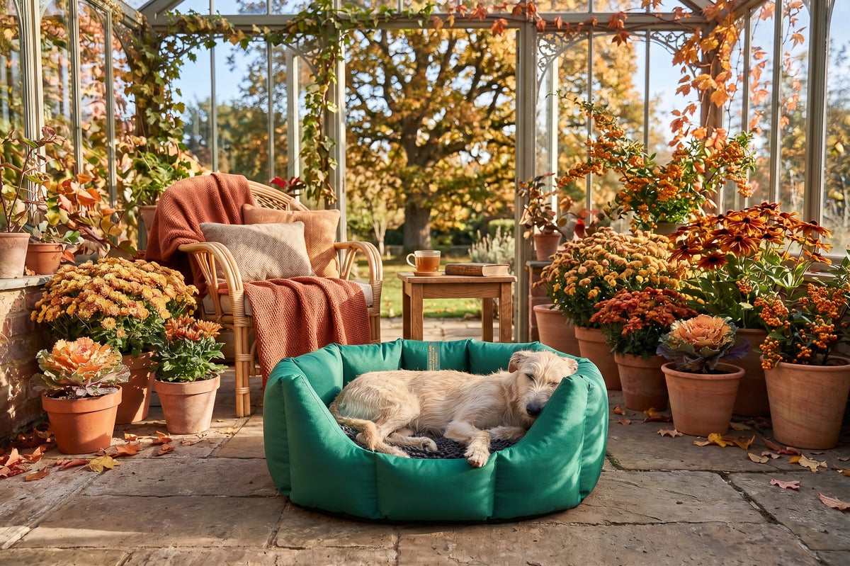 (Easy Access Emerald Green with Grey Dog Dryer)