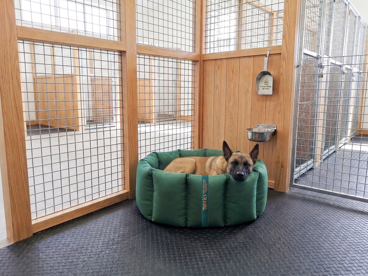 (Full Nest Emerald Green with Navy Dog Dryer)