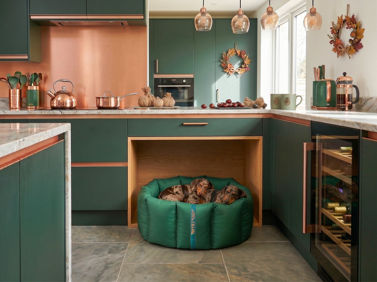(Full Nest Emerald Green with Winter Warm)