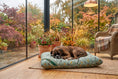 Load image into Gallery viewer, (Fetch)
