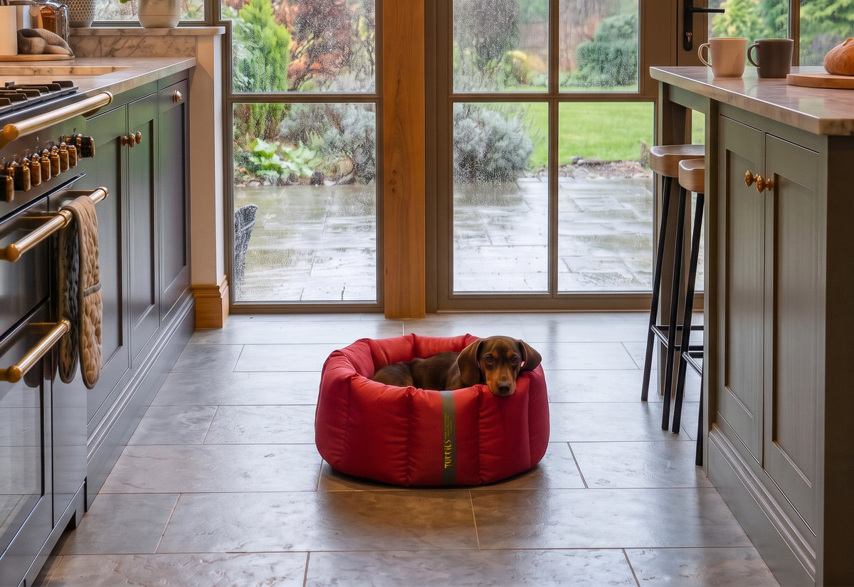 CLEARANCE : Small, Full Durasoft Dark Red Nest with Winter Warm