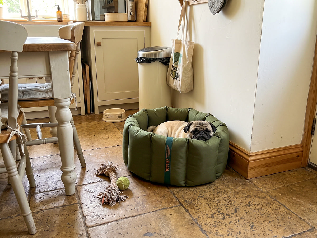 CLEARANCE : Small, Full Durasoft Olive Nest with Grey