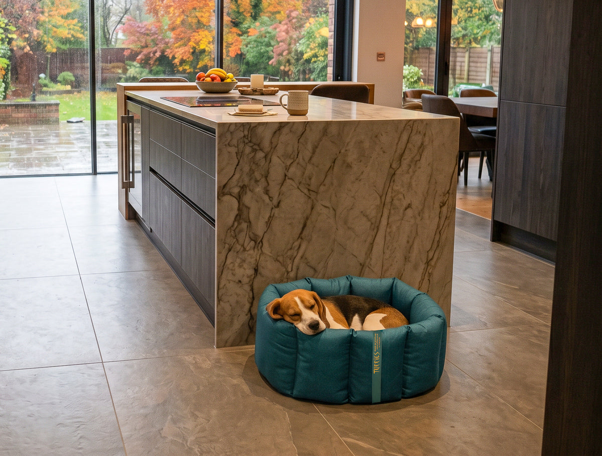 CLEARANCE : Medium, Full Durasoft Teal Nest with Caramel Paws