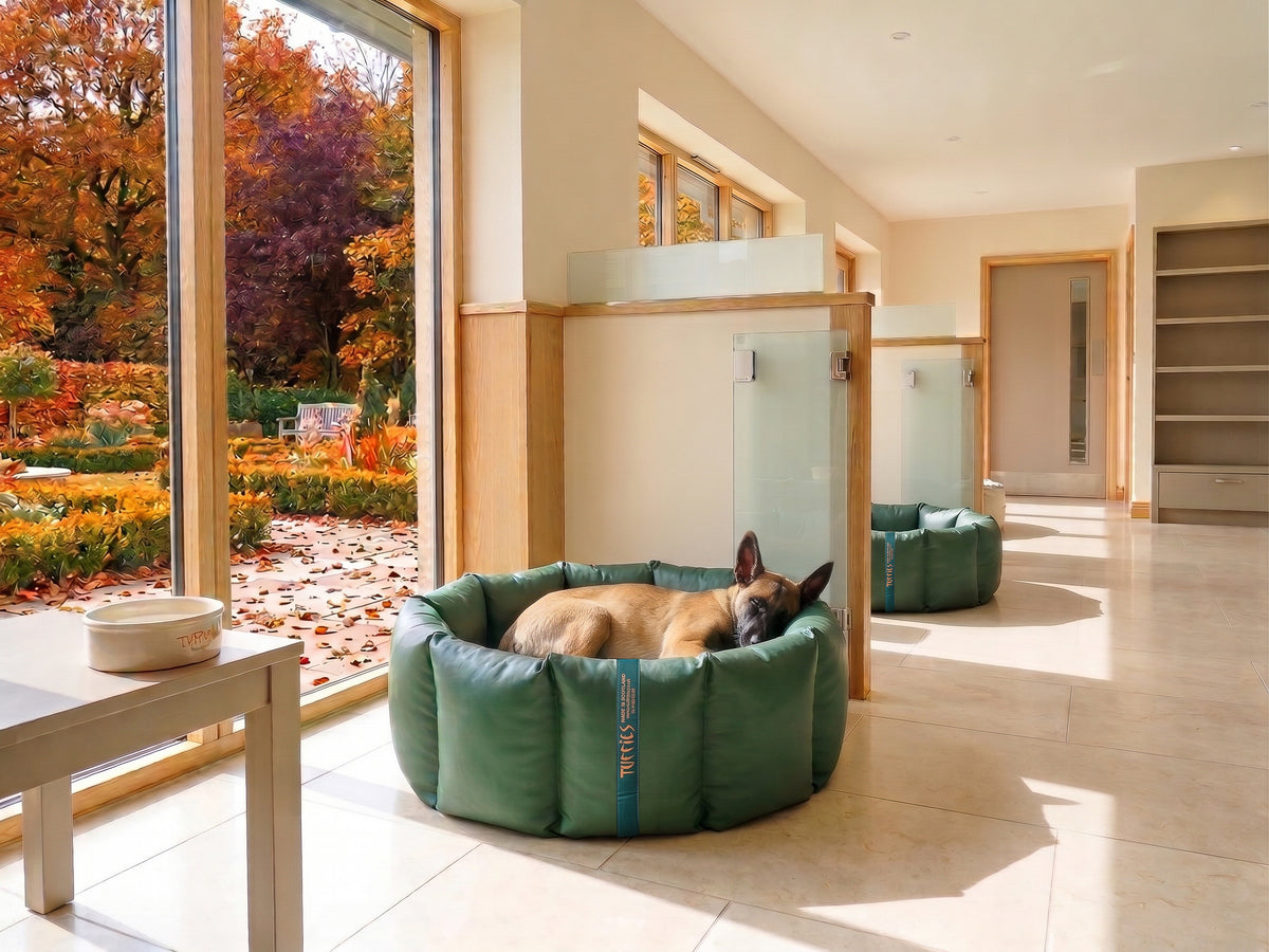 (Full Nest Green with Brown Dog Dryer)