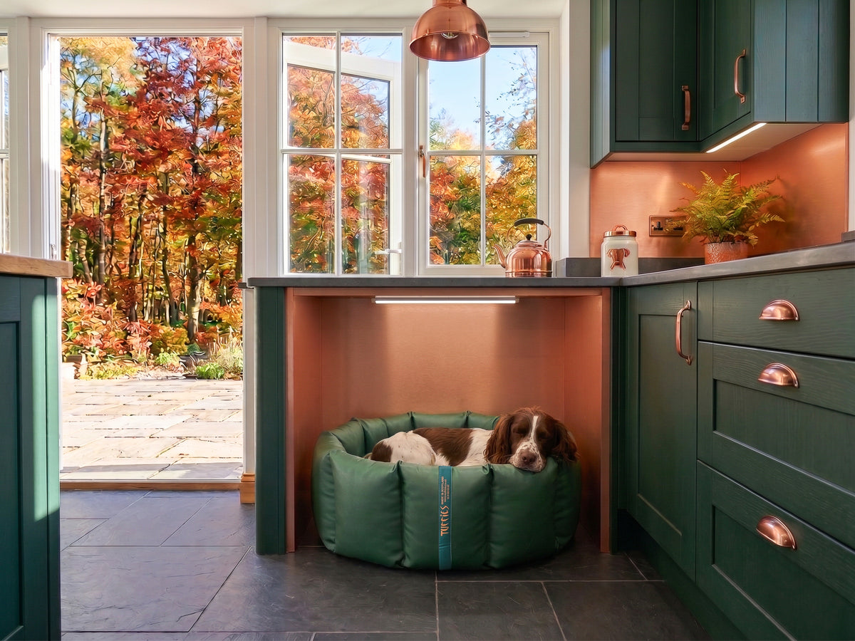 (Full Nest Green with Grey Dog Dryer)