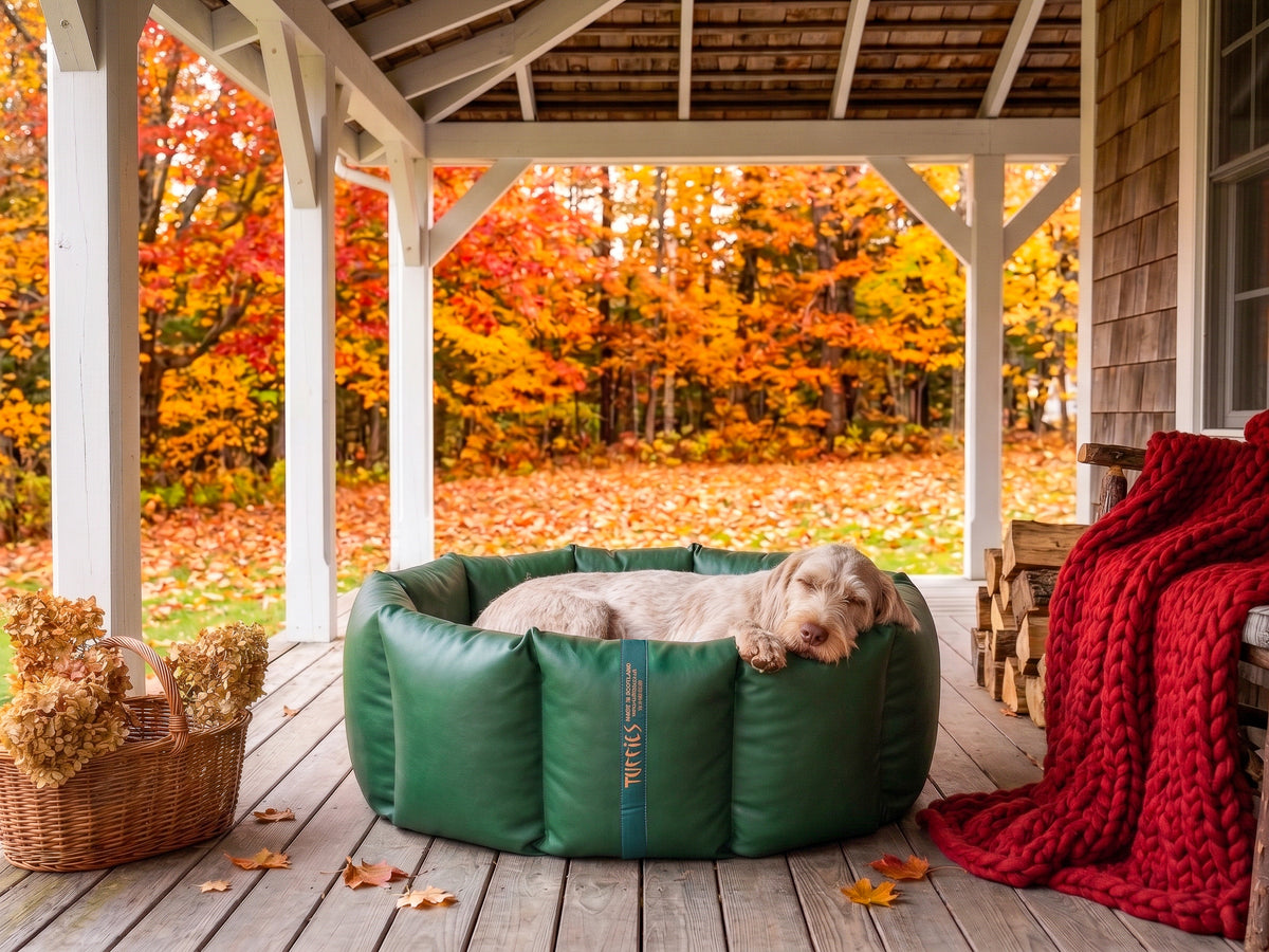 (Full Nest Green with Red Dog Dryer)