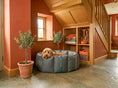Load image into Gallery viewer, (Full Nest Grey with Autumn Check)
