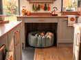 Load image into Gallery viewer, (Full Nest Grey with Brown Dog Dryer)
