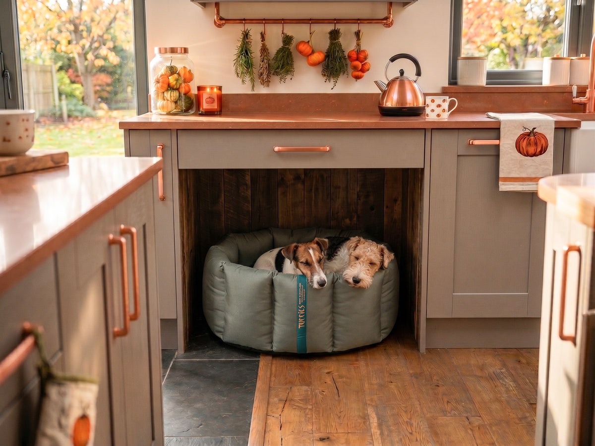 (Full Nest Grey with Brown Dog Dryer)