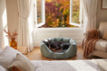 Load image into Gallery viewer, (Easy Access Grey with Grey Dog Dryer)
