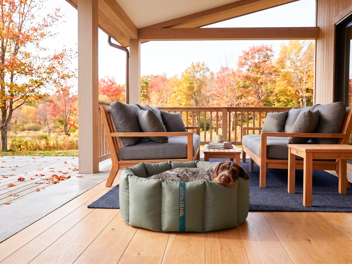 (Full Nest Grey with Navy Dog Dryer)