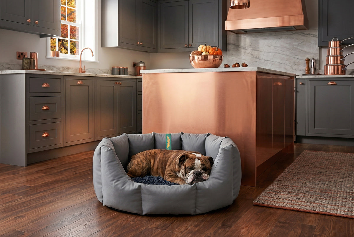 (Easy Access Grey with Navy Dog Dryer)