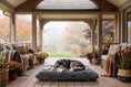 Load image into Gallery viewer, (Grey with White Paws)
