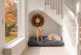 Load image into Gallery viewer, (Grey with White Paws)
