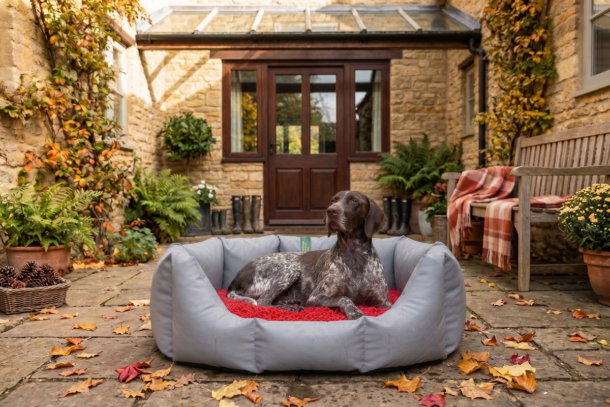 (Easy Access Grey with Red Dog Dryer)