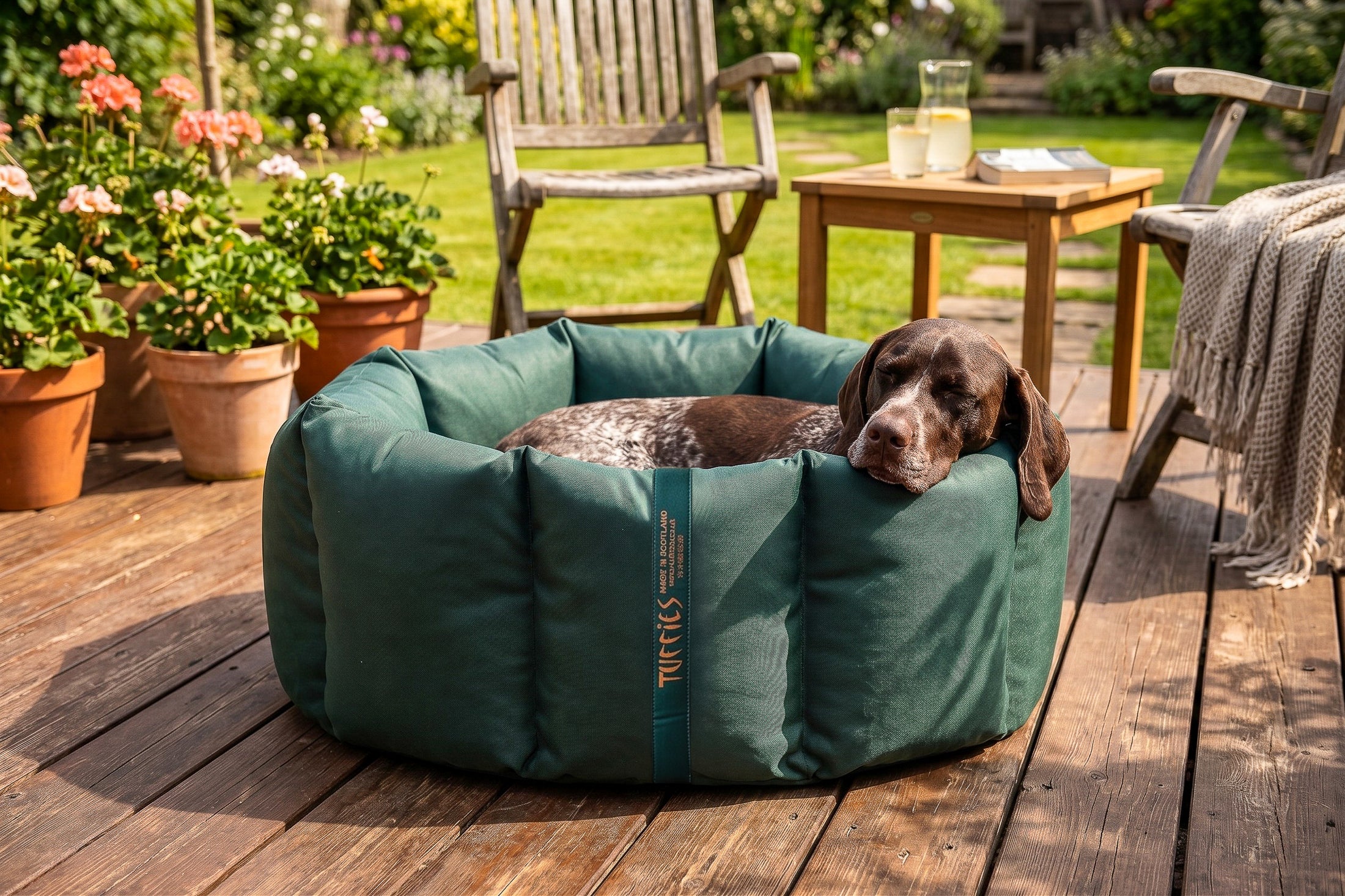 (Full Nest Green with Grey Dog Dryer)