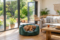 Load image into Gallery viewer, (Easy Access Green with Navy Dog Dryer)
