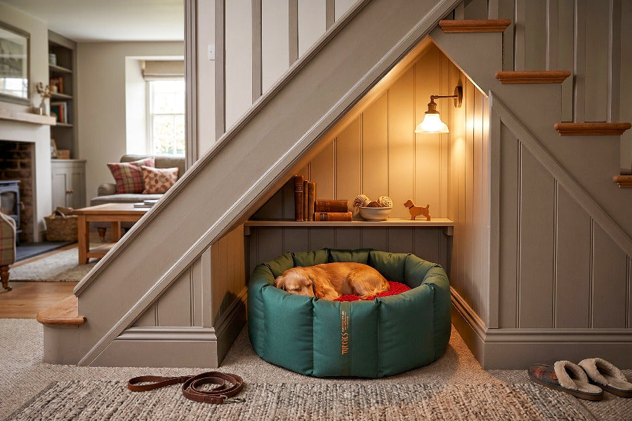 (Full Nest Green with Red Dog Dryer)