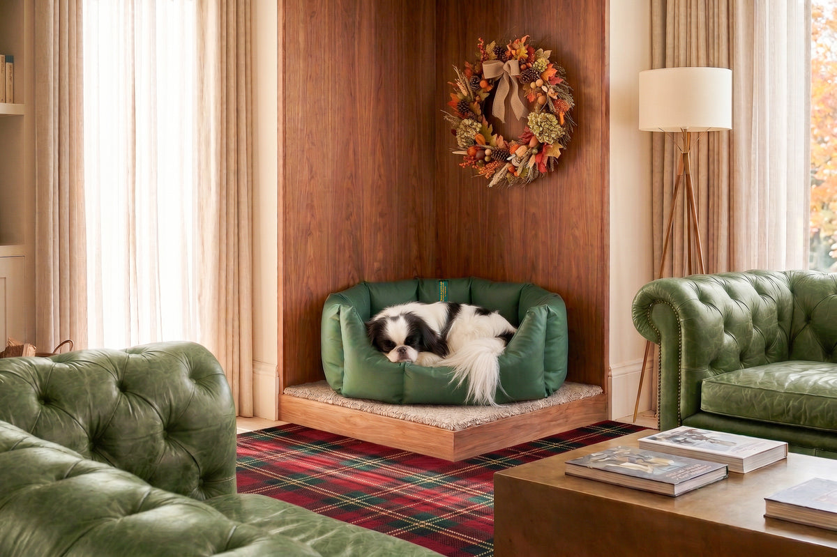 (Easy Access Green with Winter Warm)