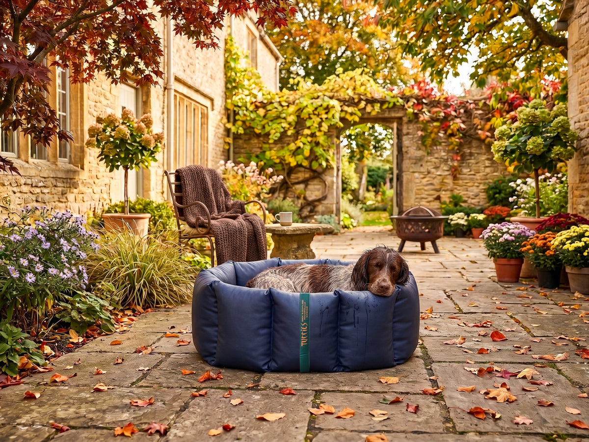(Full Nest Navy with Brown Dog Dryer)