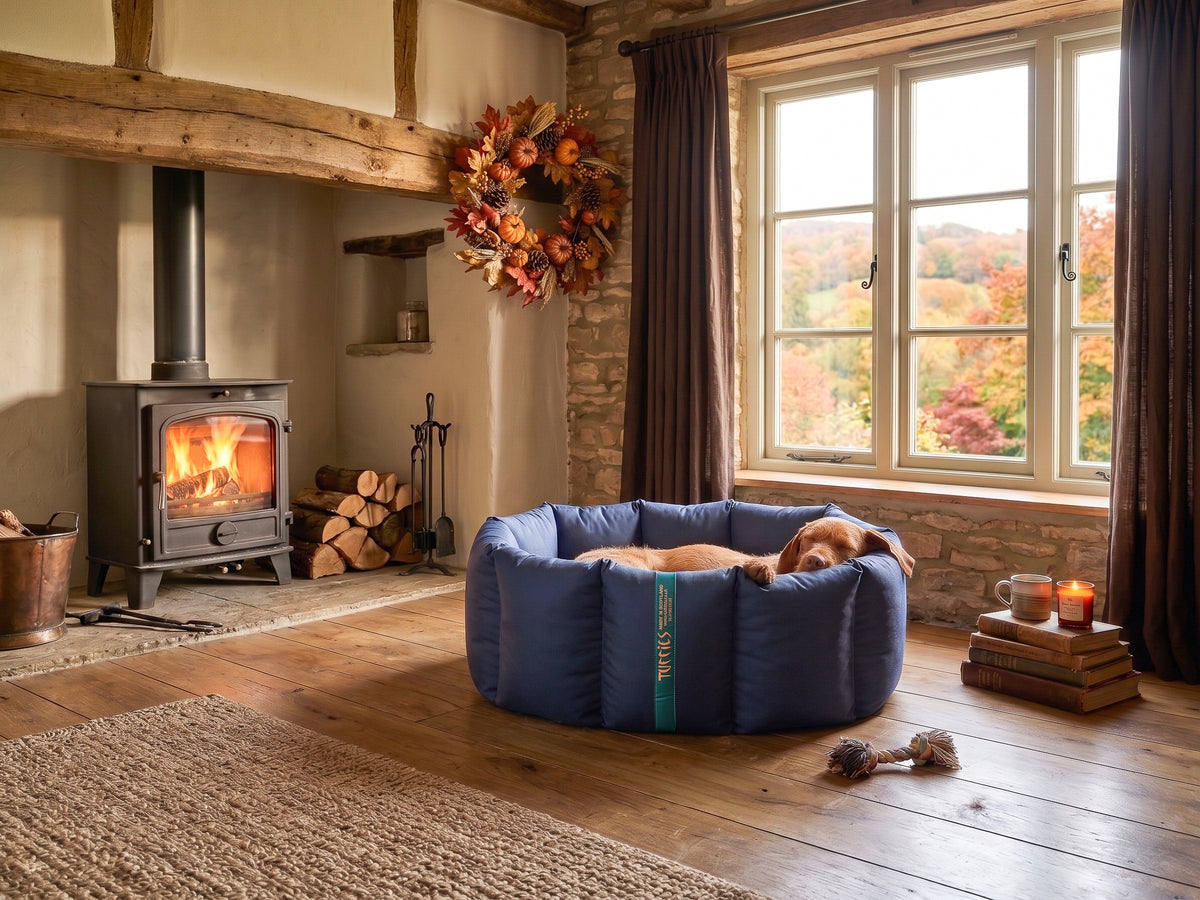 (Full Nest Navy with Brown Dog Dryer)