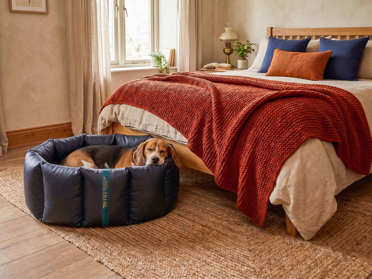 (Full Nest Navy with Paw Print)