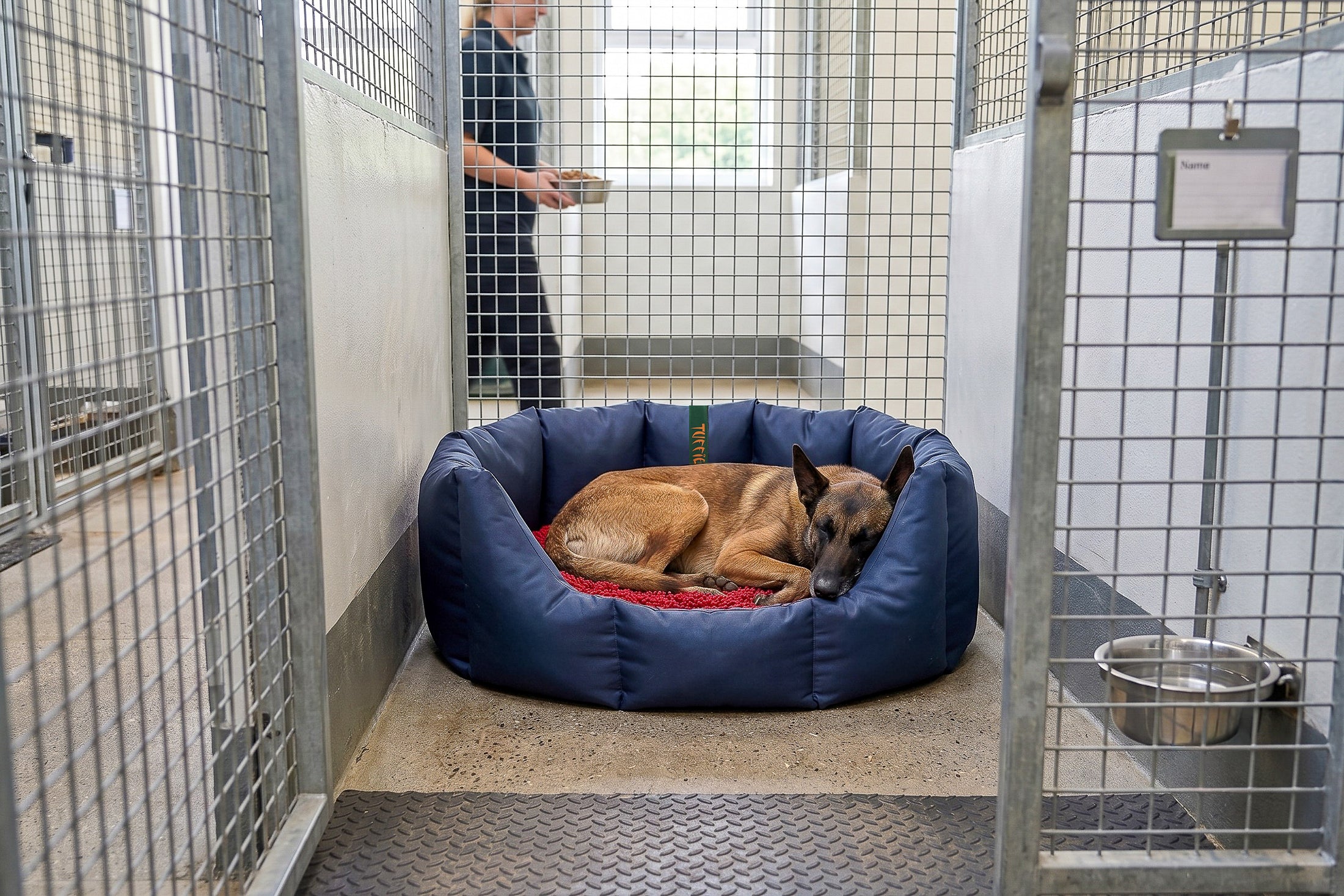 (Easy Access Navy with Red Dog Dryer)