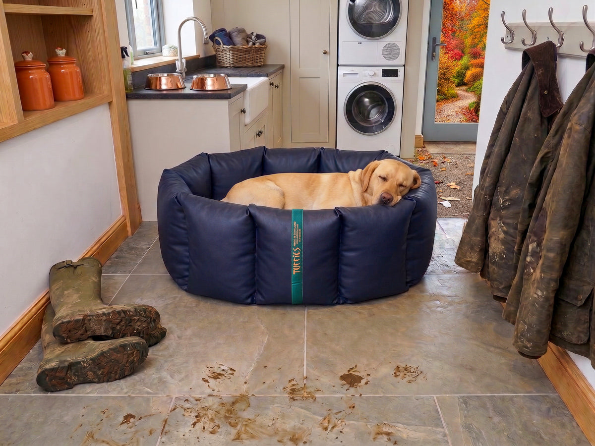 (Full Nest Navy with Wild Storm)