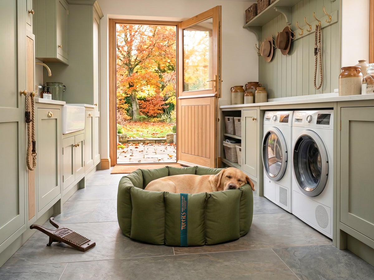(Full Nest Olive with Grey Dog Dryer)