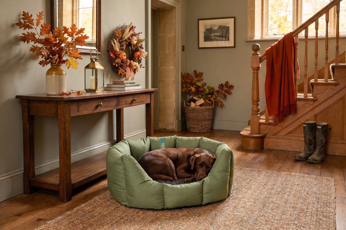 (Easy Access Olive with Grey Dog Dryer)