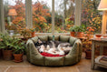 Load image into Gallery viewer, (Easy Access Olive with Red Dog Dryer)
