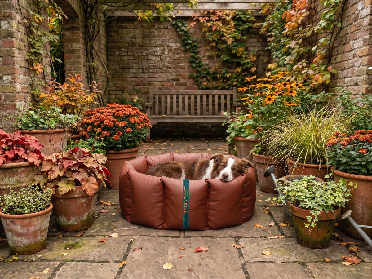 (Full Nest Russet with Autumn Check)