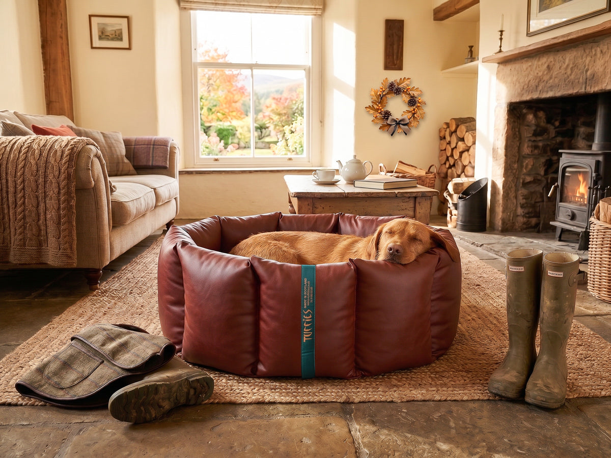 (Full Nest Russet with Brown Dog Dryer)