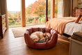 Load image into Gallery viewer, (Easy Access Russet with Brown Dog Dryer)
