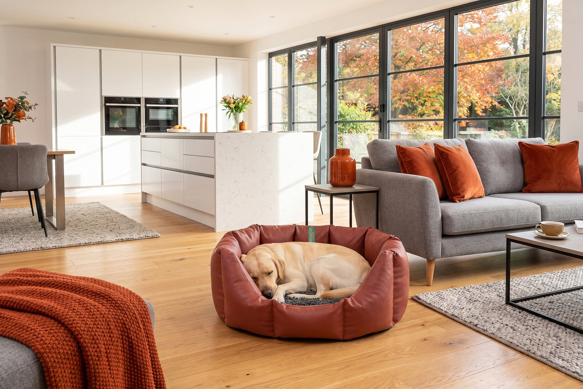 (Easy Access Russet with Grey Dog Dryer)