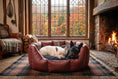 Load image into Gallery viewer, (Easy Access Russet with Navy Dog Dryer)

