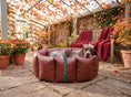 Load image into Gallery viewer, (Full Nest Russet with Red Dog Dryer)
