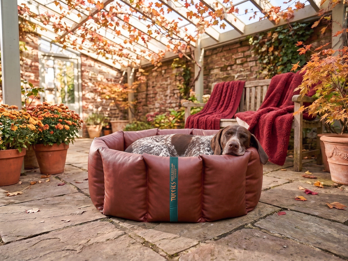 (Full Nest Russet with Red Dog Dryer)