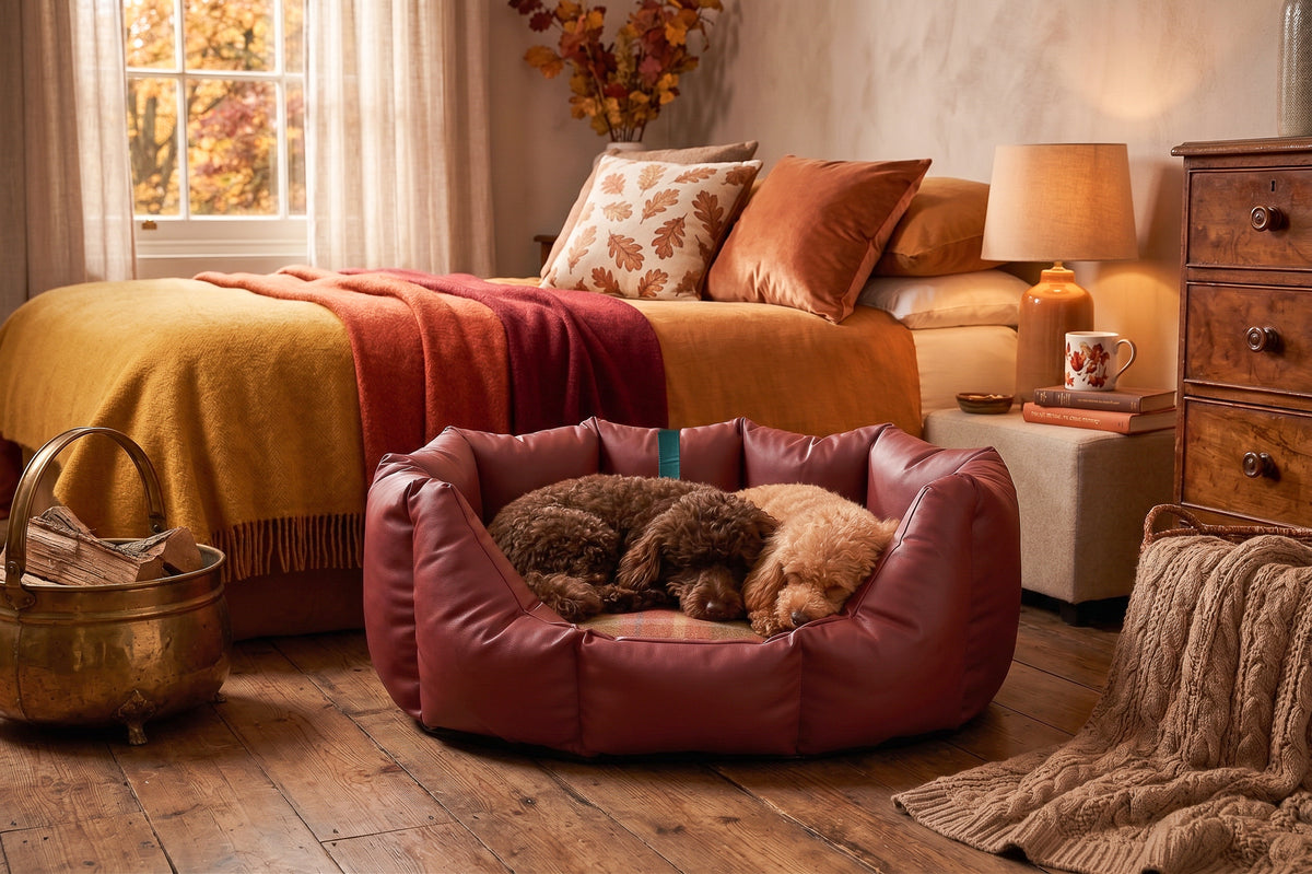 (Easy Access Russet with Rose)